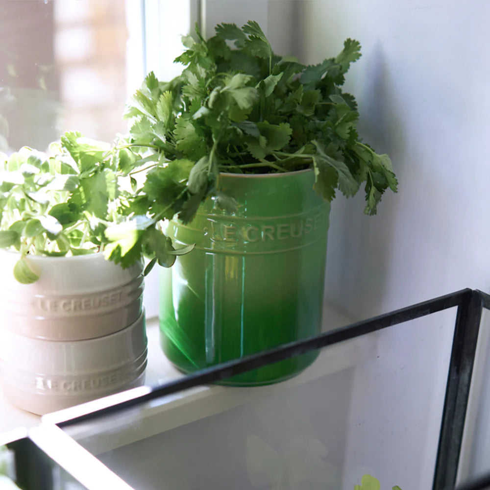 Recipiente decorativo con hierbas frescas
