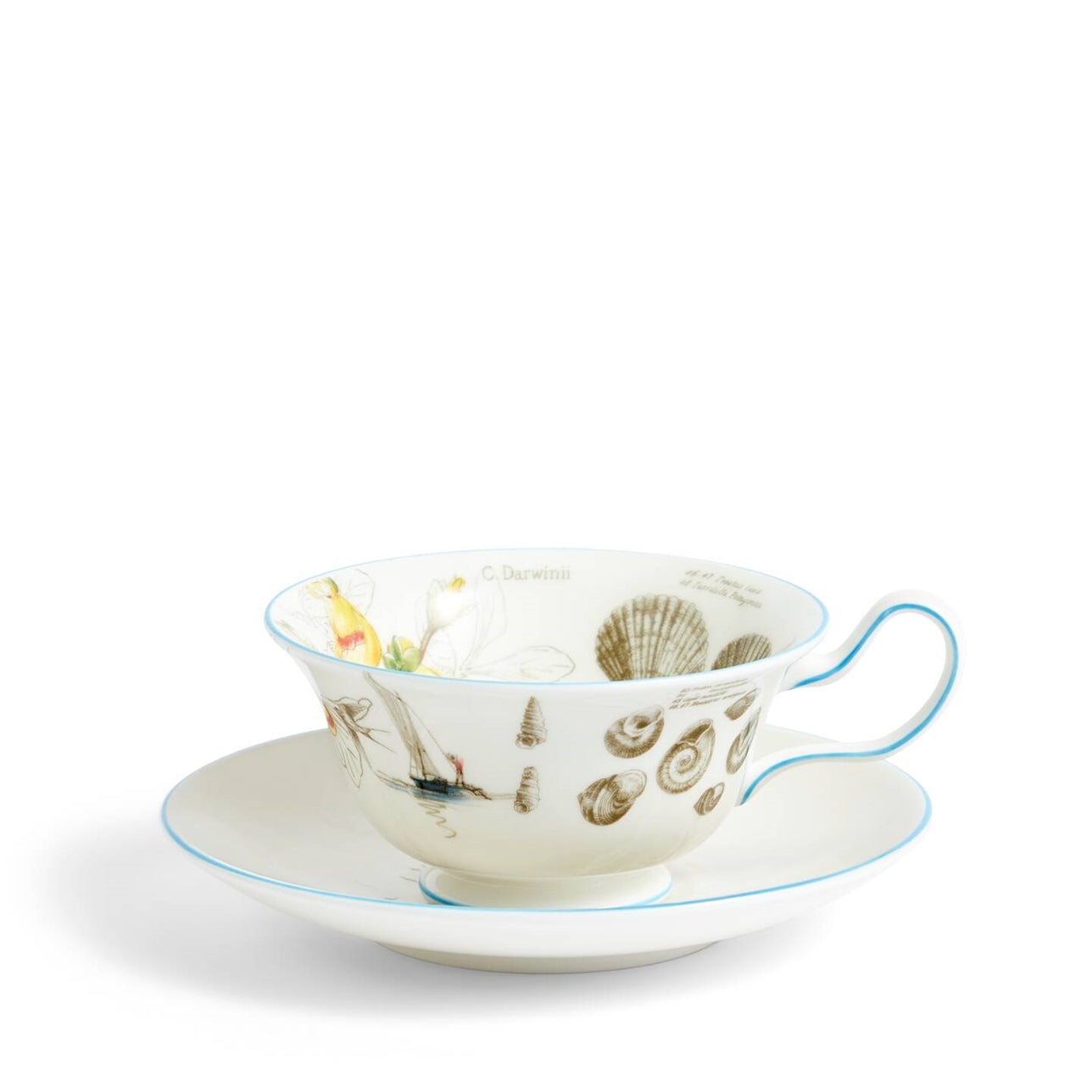 taza y platillo de Darwin Voyage of the Beagle