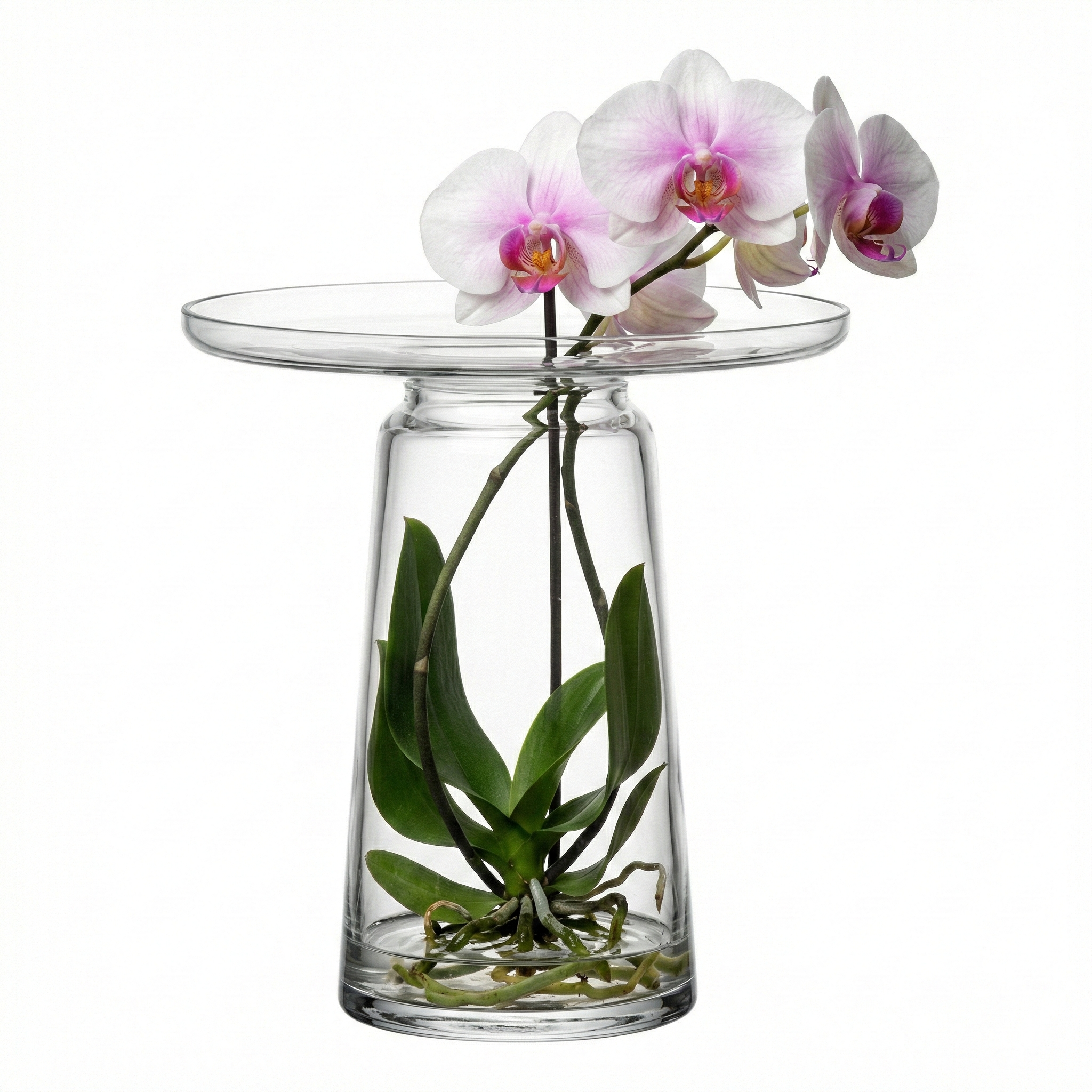 Florero Flowerbed 30 cm en cristal de Eisch con unas lindas orquideas.