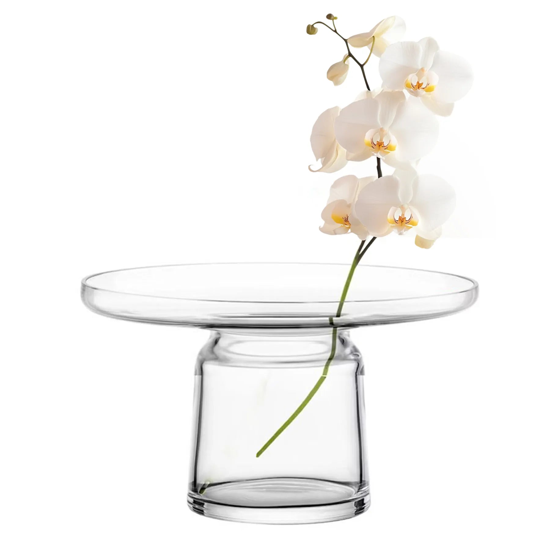 Florero Flowerbed 17 cm en cristal de Eisch con una orquidea.