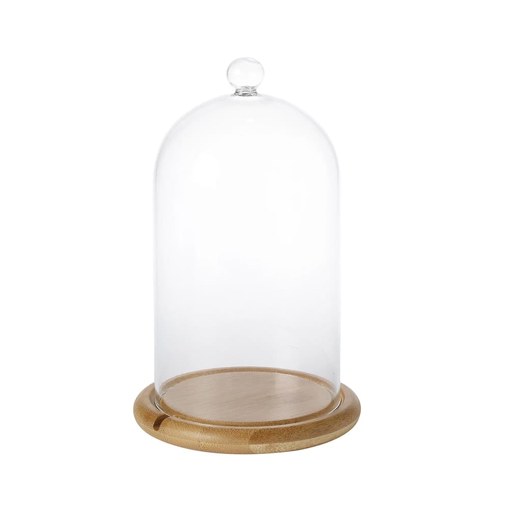 Domo en cristal con base de madera para decoración elegante