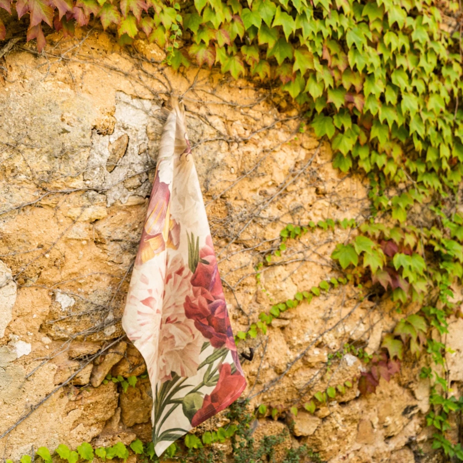 Paño de Cocina Garden Eden 1 The NapKing edición limitada