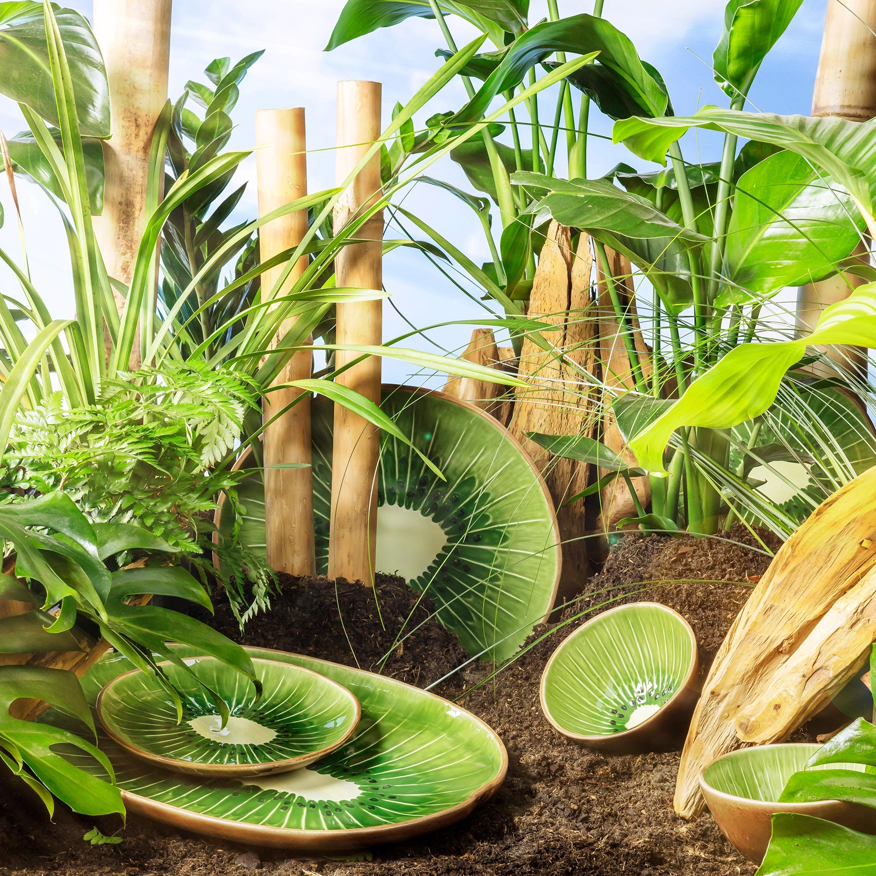 Plato y set vajilla tropical kiwi para postres y cenas decorativos
