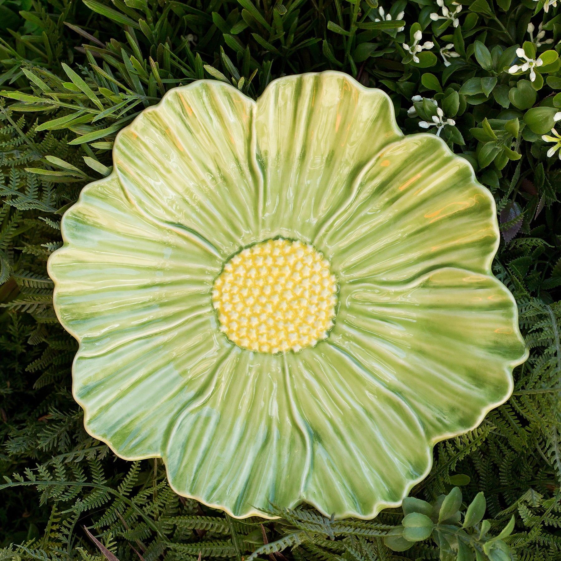 Plato Postre Cosmos María Flor en ambiente natural