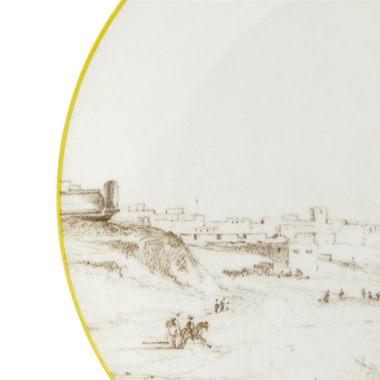 Plato Darwin Voyage of the Beagle Uruguay con paisajes de Montevideo y gauchos.
