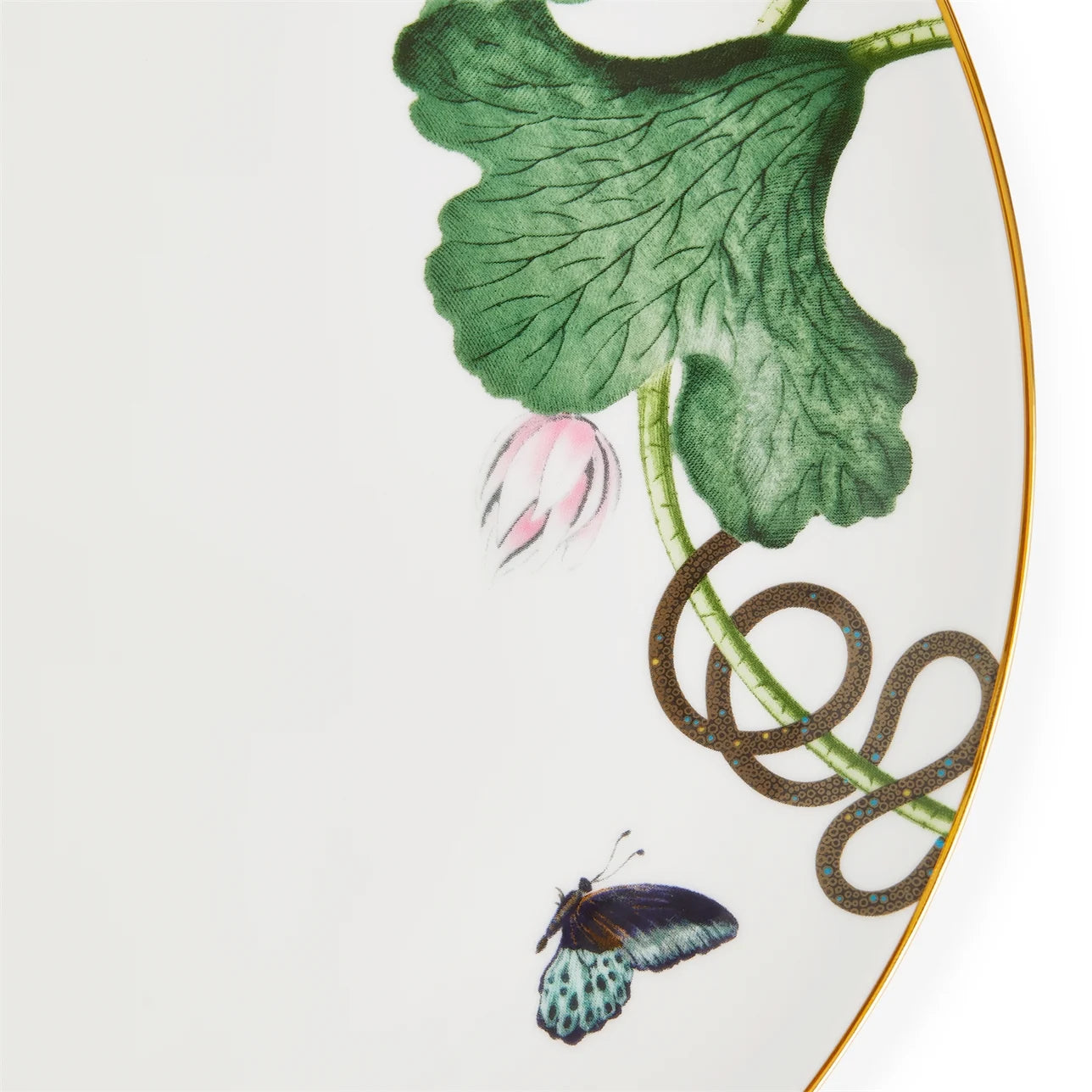 detalle-plato-waterlily-fauna-flora-amazonica
