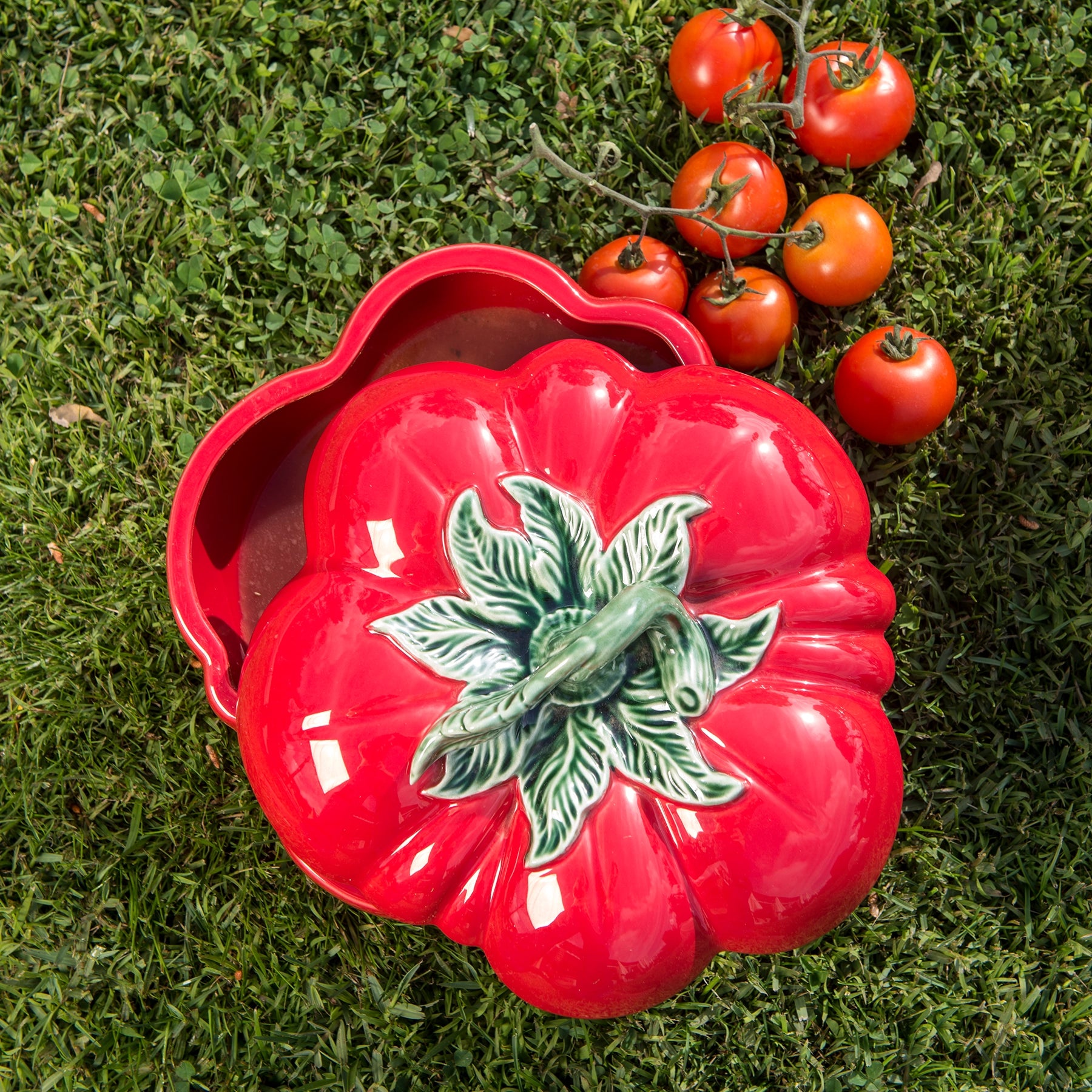 CAJA GRANDE TOMATES