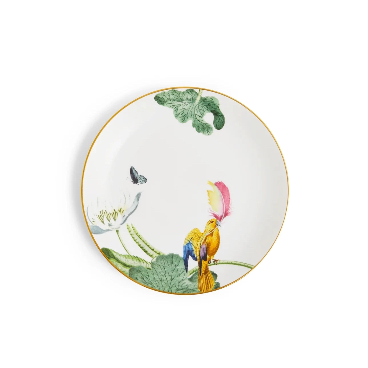 PLATO PAN WONDERLUST WATERLILY